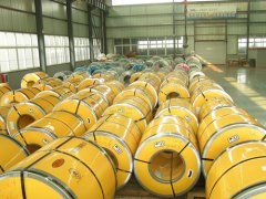 1559009544500559.jpg 1-1Z103151312221-lp.jpg